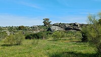Natuurpark