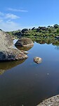 Natuurpark