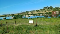 Ooievaarsnesten