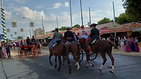 Het feestterrein