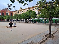 De wachtrij tickets Real Alcazar paleis