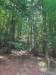 Mullerthal