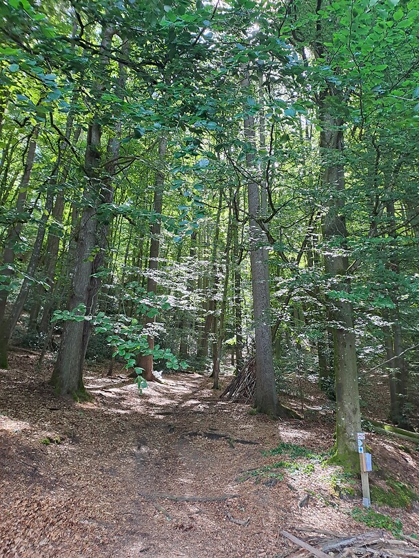 Mullerthal