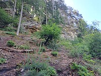 Grote rotsen
