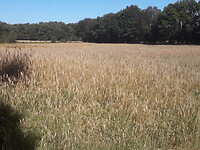 20200805_101819