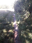 20200805_102304