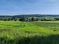 IMG_20220515_164834