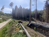 IMG_20220515_150541