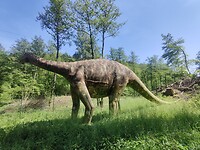 IMG_20220515_143924