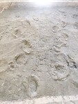 IMG_20220515_143721