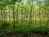 IMG_20220515_135556