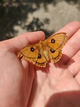 IMG_20220515_135204