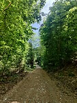 IMG_20220515_134436