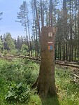 IMG_20220515_124804