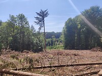 IMG_20220515_124653