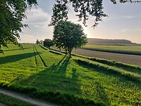 IMG_20220515_201115