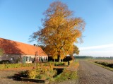 29 Oktober 2015