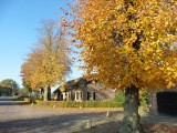 29 Oktober 2015