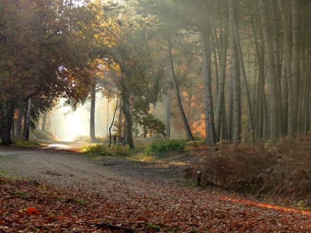 31 Oktober 2015