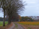 04 November 2015