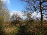 28 November 2015