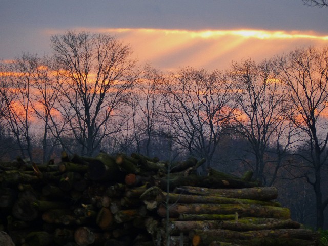 06 December 2015