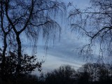 12 December 2015