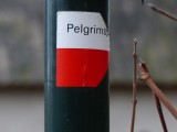 23 December 2015