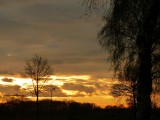 24 December 2015