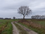 24 December 2015