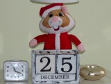 25 December 2015