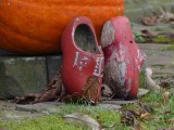 29 December 2015