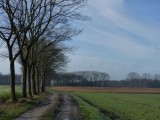 1 Januari 2016