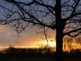 3 Januari 2016