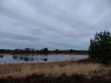 3 Januari 2016