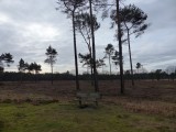 3 Januari 2016