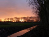 12 Januari 2016