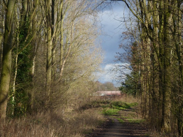 12 Januari 2016
