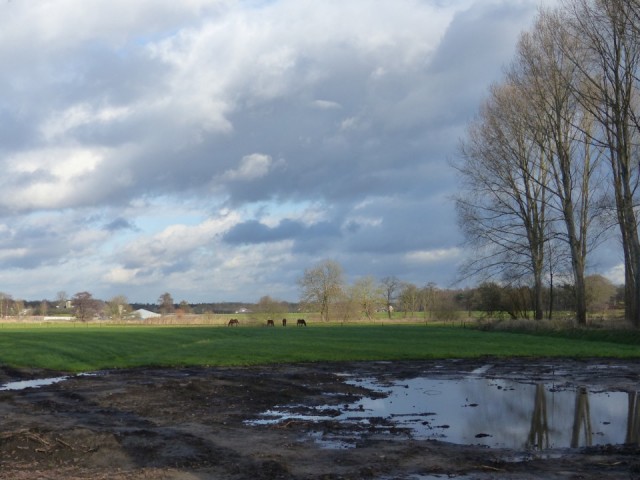 12 Januari 2016