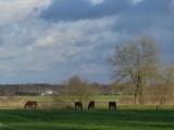 12 Januari 2016