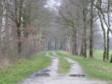 15 Januari 2016
