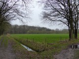 15 Januari 2016