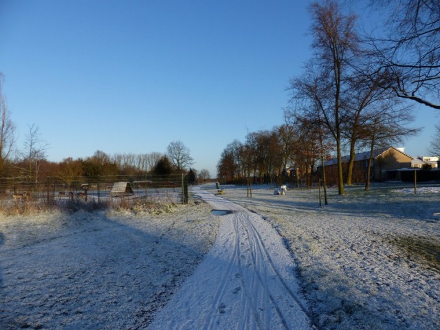 17 Januari 2016