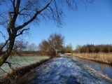 17 Januari 2016
