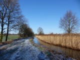 17 Januari 2016
