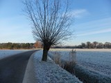 18 Januari 2016