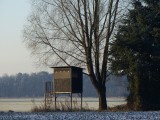 19 Januari 2016