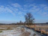 19 Januari 2016
