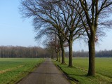 21 Januari 2016