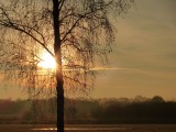 22 Januari 2016
